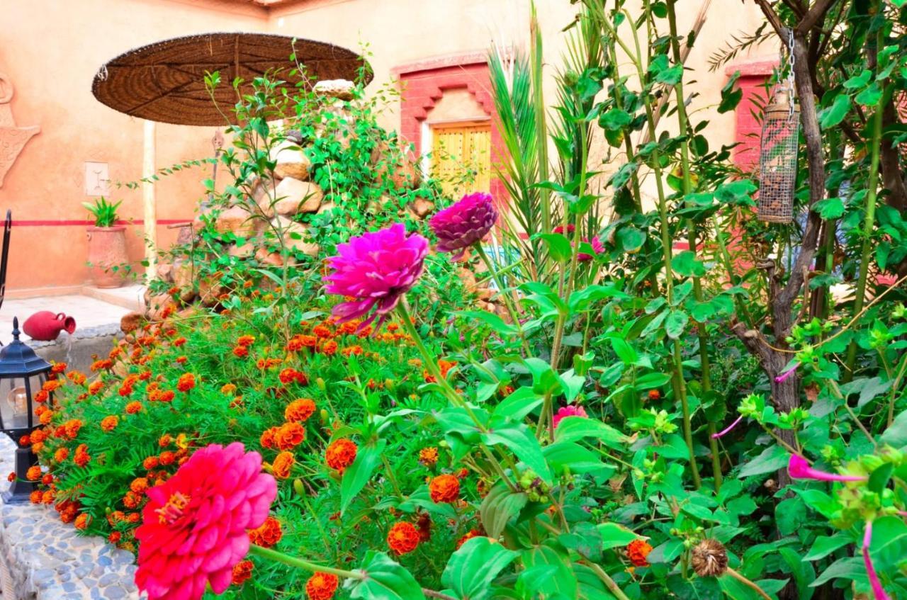 Kasbah Tussna Hotel Boumalne Dades Luaran gambar